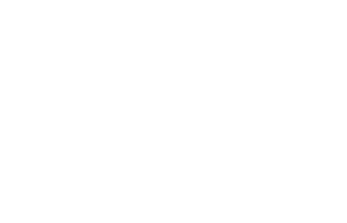 Ping Federate logo image